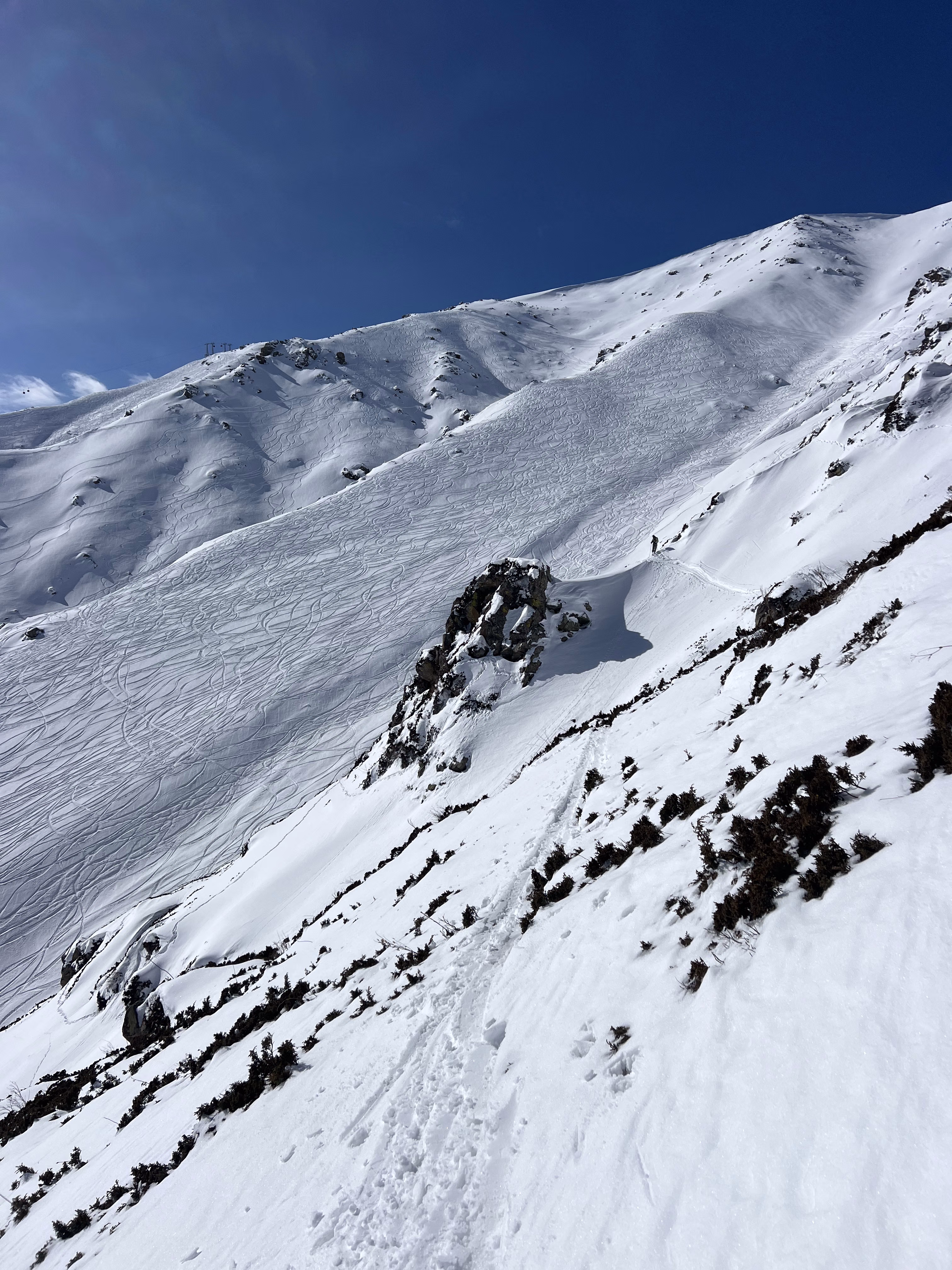 Powder, freeride and backcountry skiing in Gulmarg