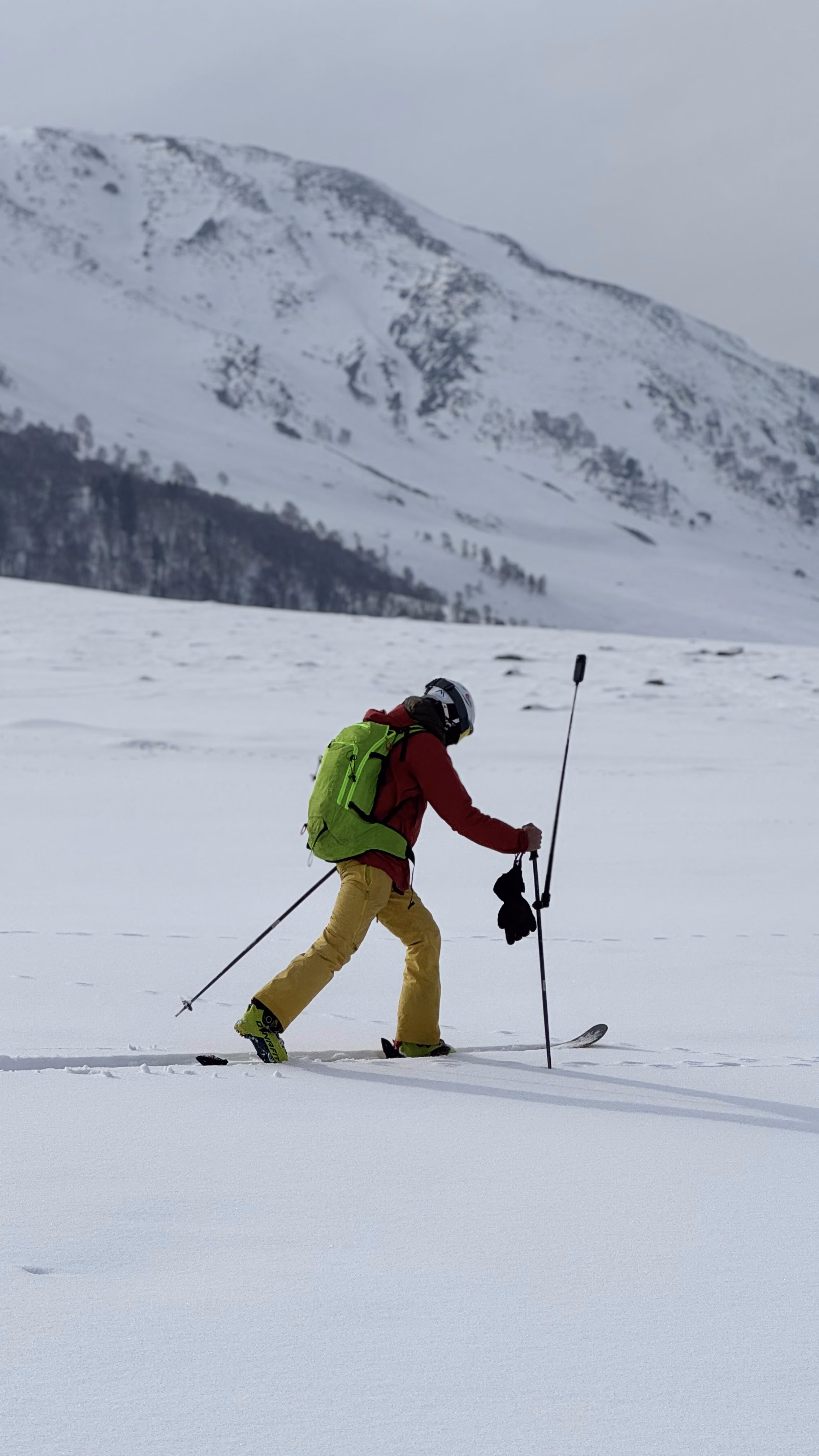Skiing in Gulmarg: the complete guide